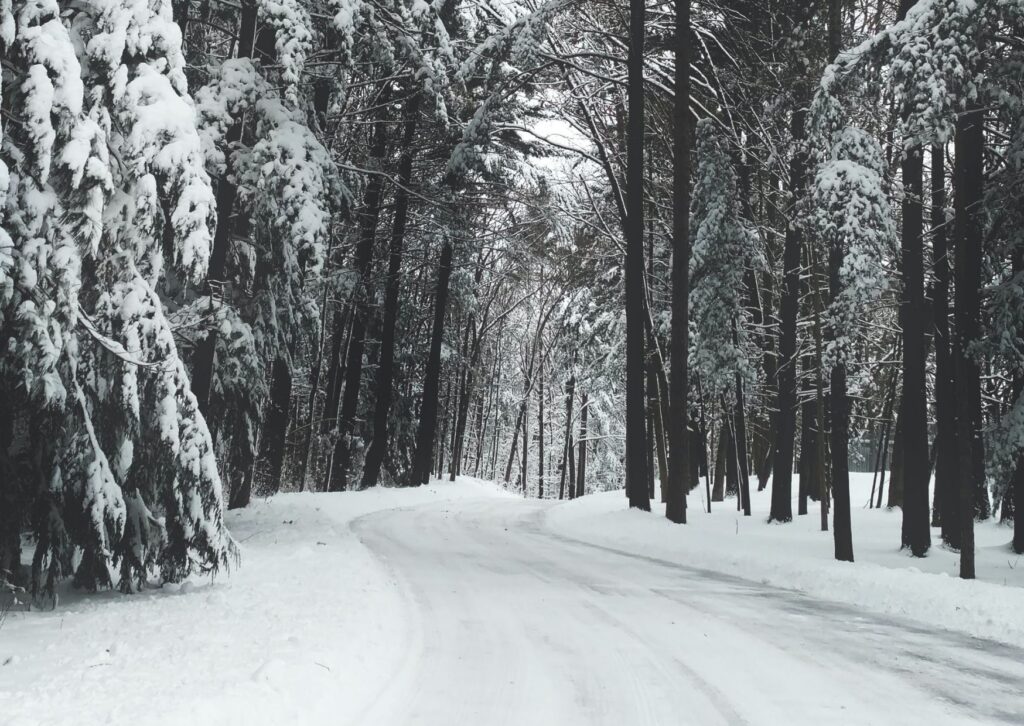 Are Snow Blowers Bad For The Environment